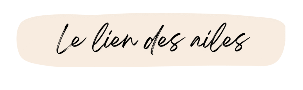 le lien des ailes (1)
